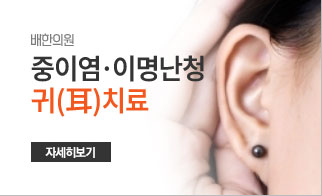 중이염 이명난청 귀치료